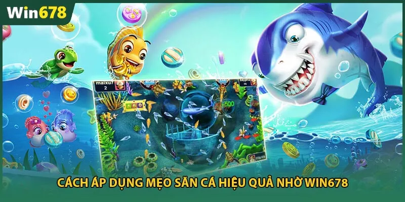 Cách áp dụng mẹo săn cá hiệu quả nhờ Win678